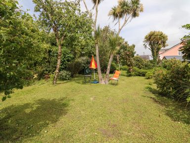 A garden with two chairs a red and yellow umbrella and various trees and bushes at Brendans Cottage in Valentia Island County Kerry