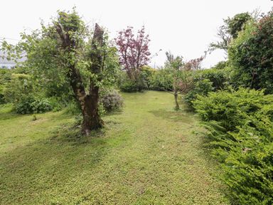 A garden area with grass, bushes, and multiple trees at Brendans Cottage in Valentia Island County Kerry