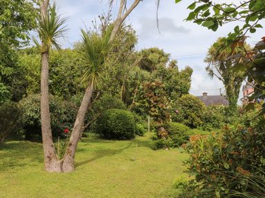 A garden with various trees bushes and flowers at Brendans Cottage in Valentia Island County Kerry