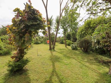 A garden with several trees bushes and a lone orange chair at Brendan's Cottage in Valentia Island County Kerry