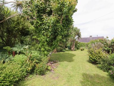 A garden with grass lawn surrounded by trees and shrubs at Brendans Cottage in Valentia Island County Kerry