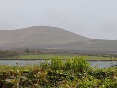 A grassy riverbank with tall plants and a river in front of a large hillside with fields at Brendans Cottage Valentia Island County Kerry