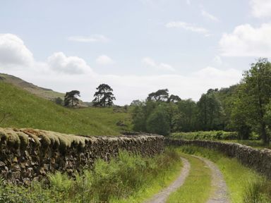 A path leading through a landscape with stone walls and trees at Copper Beech Cottage in Torver
