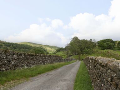 A road between stone walls and trees in a landscape at Copper Beech Cottage in Torver