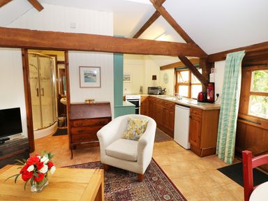 A living area with a white armchair on a patterned rug a kitchen with wooden cabinets and appliances and a shower visible through a door at The Pottery in Urchfont near Devizes