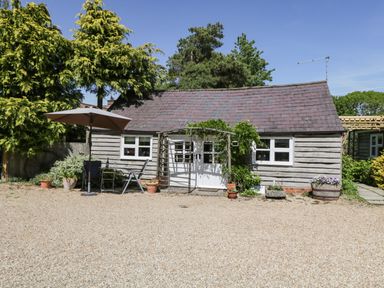 A small wooden building with a tiled roof surrounded by trees and plants at The Pottery in Urchfont near Devizes
