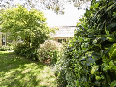 A garden with green grass bushes and trees and a building with a window in the background at The Pottery in Urchfont near Devizes