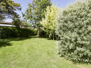 A garden with green grass and various trees and bushes at The Pottery in Urchfont near Devizes