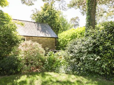 A garden with green plants and bushes and a wooden shed with a slate roof at The Pottery in Urchfont near Devizes