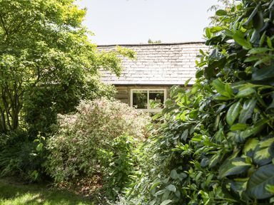 A garden with bushes and trees in front of a house window at The Pottery in Urchfont near Devizes