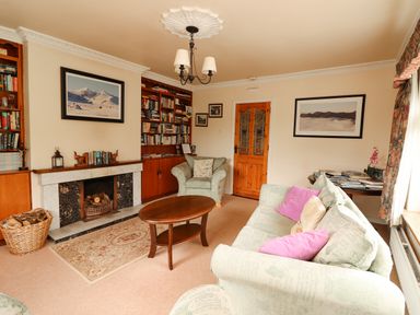 A living room with a fireplace bookshelves a wooden coffee table and a sofa with pink pillows at The Lodge Churchtown near Beaufort County Kerry