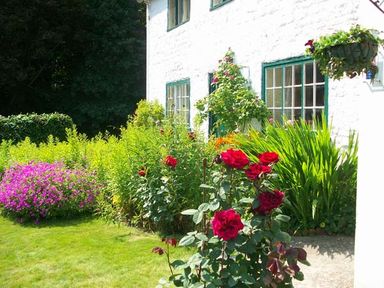 A garden with red roses and other plants outside a white house with green window frames at The White Cottage in Bridlington