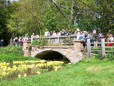 People standing on a brick and wood bridge over a pond with yellow ducks in a park at The White Cottage in Bridlington