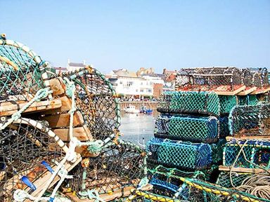 A pile of lobster pots stacked near a harbor with buildings in the background at The White Cottage in Bridlington