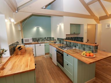 A kitchen with wooden countertops green cabinets and appliances at Foxglove in Newport Pembrokeshire