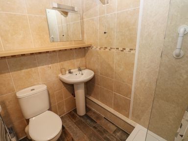A bathroom with a toilet sink mirror shelf and a shower at Foxglove Newport Pembrokeshire