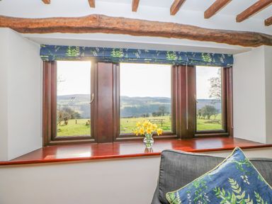 A wooden framed window with a view of green fields and hills with a vase of yellow flowers on the windowsill and a blue floral cushion on a gray chair at Hadrians View Banks near Brampton
