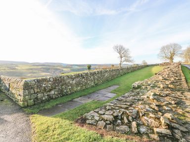 A stone wall with grass and trees along a countryside road at Hadrians View Banks near Brampton