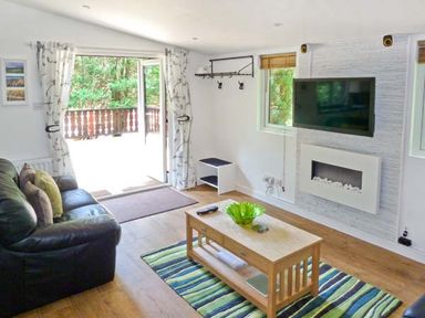 A living room with a black leather sofa a wooden coffee table with a green bowl a striped rug a wall-mounted tv and an electric fireplace at Top Lodge 4 Skiptory Howe White Cross Bay near Troutbeck Bridge