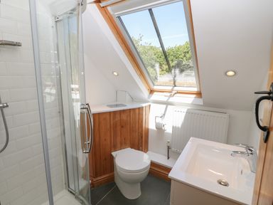 A small bathroom with a shower, toilet, sink, and skylight window at Garth Morthin The Stables in Porthmadog