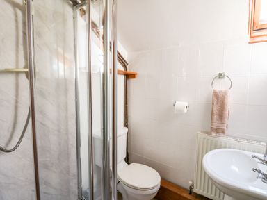 A bathroom with a shower enclosure toilet sink towel and radiator at Llety'r Wennol Ffarmers near Lampeter