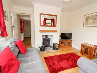 A living room with a gray sofa and red cushions a wood stove a red rug and a television on a wooden cabinet at Penlon in Capel Bangor near Aberystwyth
