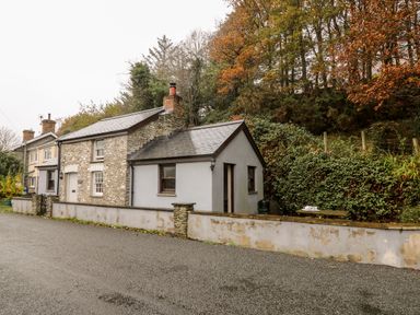 A stone and white house with a grey roof surrounded by trees and a wall at Penlon in Capel Bangor near Aberystwyth