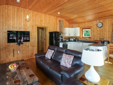 A living room and kitchen with wooden walls a leather sofa a wooden table with fruit a white lamp a black refrigerator and white kitchen cabinets at Barn Shelley Lodge Copplestone near Crediton