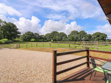 A view of a gravel area and green field with wooden fences and trees from a wooden deck with a glass table and chair at Barn Shelley Lodge in Copplestone near Crediton