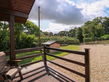 A porch with wooden railings and a wooden bench overlooking a garden with grass, a small shed, a gravel area, and trees at Barn Shelley Lodge in Copplestone near Crediton
