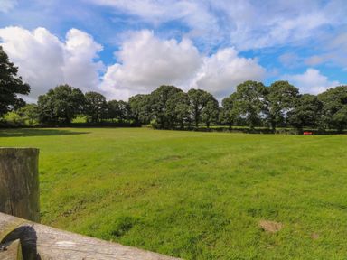 A grassy field with trees in the background under a partly cloudy sky at Barn Shelley Lodge Copplestone near Crediton