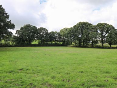 A green grassy field with a row of trees in the background at Barn Shelley Lodge in Copplestone near Crediton