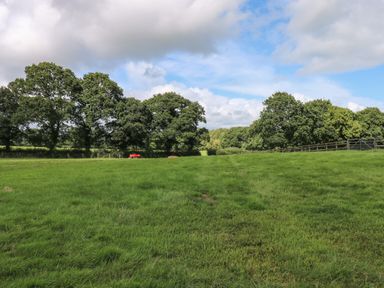 A green grassy field with trees and a fence under a partly cloudy sky at Barn Shelley Lodge in Copplestone near Crediton