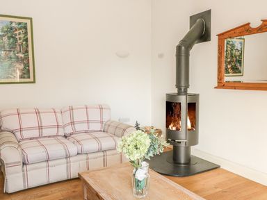 A living room with a checkered sofa a wood stove a wooden table with flowers a framed painting and a mirror at Hen Stabl Llangoed near Beaumaris