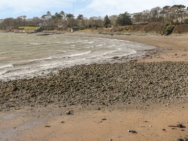 A rocky and sandy beach with waves and trees along the shoreline at Hen Stabl Llangoed near Beaumaris
