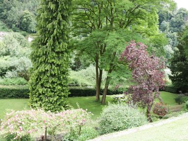 A garden area with various trees bushes and a wooden picnic table on grass at Wye Valley Cottage in Symonds Yat