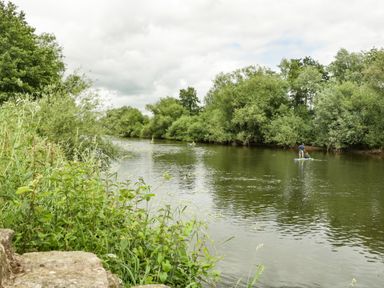 A river with people paddleboarding and dense trees along the riverbanks at Wye Valley Cottage in Symonds Yat