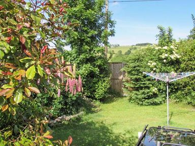 A garden with a lawn surrounded by bushes and trees and a rotary clothesline at Gorrig Bwthyn in Llandysul