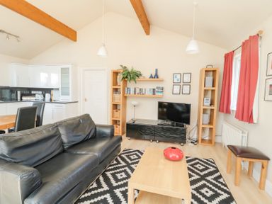 A living room with a black leather sofa a wooden coffee table with a red vase a black and white rug a flat screen television and shelving units at Orchard Lodge in Warkworth