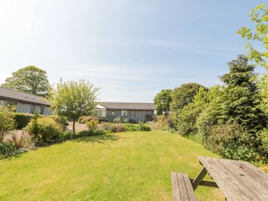 A garden with a lawn a picnic bench bushes and trees in front of wooden buildings at Orchard Lodge in Warkworth