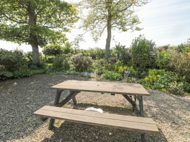 A wooden picnic table on gravel surrounded by trees and bushes at Orchard Lodge in Warkworth