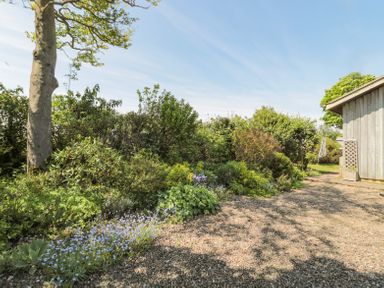 A garden area with shrubs flowers and a tree next to a gravel path and wooden building at Orchard Lodge in Warkworth