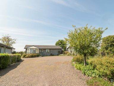 An outdoor area with a gravel driveway trees bushes and two wooden buildings at Orchard Lodge in Warkworth