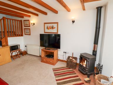 A living room with a wood burning stove television on a wooden stand and a microwave on a wooden table at The Bothy in Lowick near Holy Island