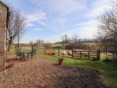 A garden with a metal table and chairs on a gravel area next to a lawn and fenced pasture with sheep at The Bothy in Lowick near Holy Island