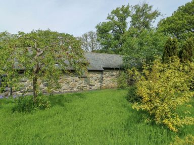 A garden with a stone wall and trees at Bythyn Ddol Hafod in Capel Curig