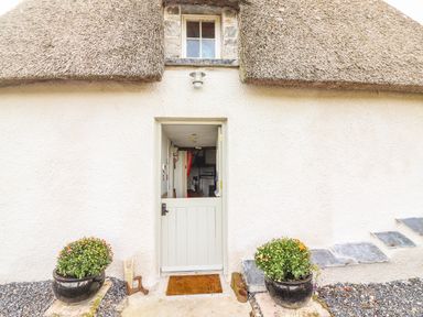 An entrance with a white half-door flanked by two potted plants under a thatched roof at New Thatch Farm Scarteen near Knocklong County Limerick