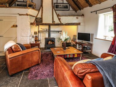 A living room with two leather armchairs a coffee table a wood burning stove and a television at New Thatch Farm Scarteen near Knocklong County Limerick