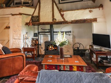 A living room with a wood burning stove flowers on a coffee table and a television at New Thatch Farm Scarteen near Knocklong County Limerick