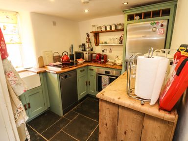 A kitchen with green cabinets a wooden countertop a stainless steel refrigerator and dishwasher at New Thatch Farm Scarteen near Knocklong County Limerick
